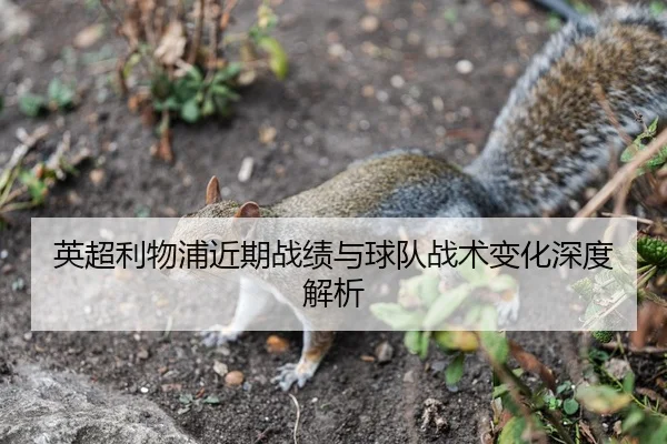 英超利物浦近期战绩与球队战术变化深度解析